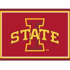 Outlet Kirklands Home Iowa State University Area Rug, 3x4