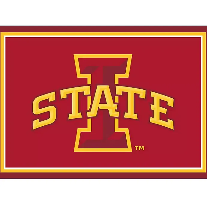 Outlet Kirklands Home Iowa State University Area Rug, 3x4