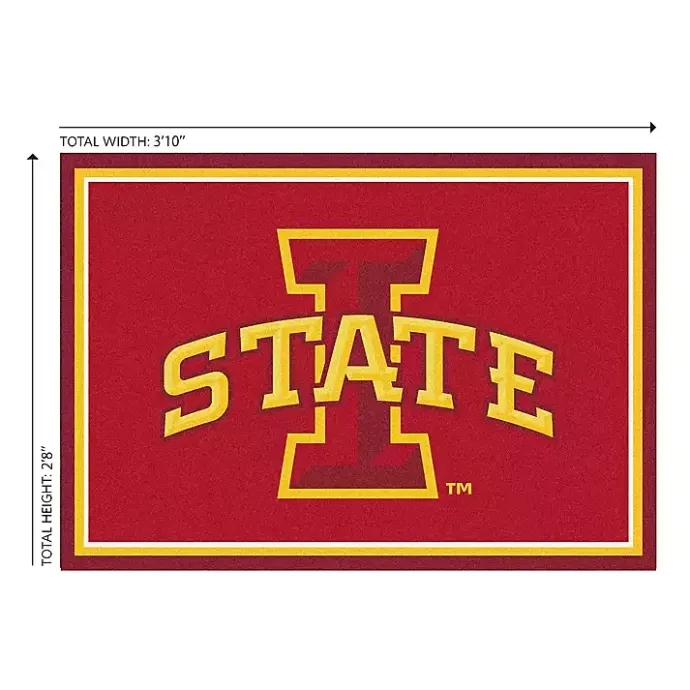 Outlet Kirklands Home Iowa State University Area Rug, 3x4
