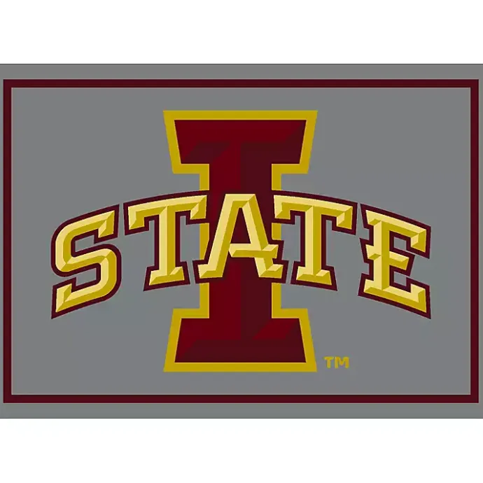 Best Kirklands Home Iowa State University Area Rug, 4x6