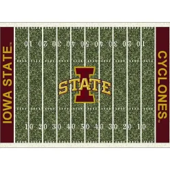 Outlet Kirklands Home Iowa State University Homefield Area Rug, 6x8