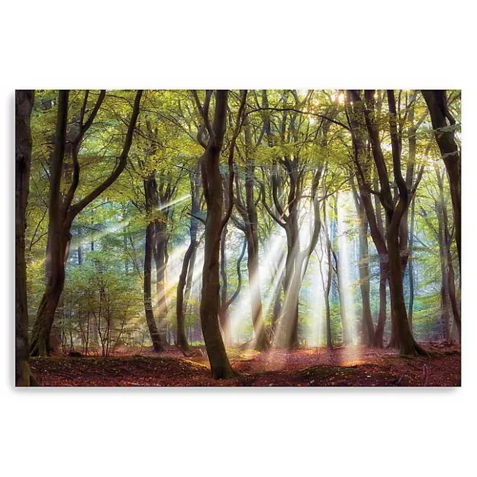 Discount Kirklands Home Majestic Morning Giclee Canvas Art Print Green