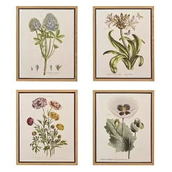 Discount Kirklands Home Martha Stewart Herb and Floral Framed Print Set