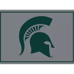 Clearance Kirklands Home Michigan State Area Rug, 4x6