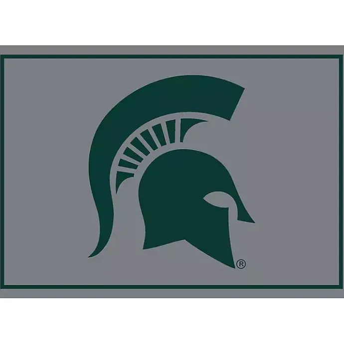 Clearance Kirklands Home Michigan State Area Rug, 4x6