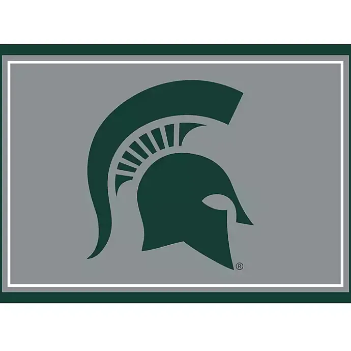 Discount Kirklands Home Michigan State University Area Rug, 3x4