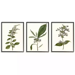 Hot Kirklands Home Minimal Soft Flowers Framed Art Prints, Set of 3