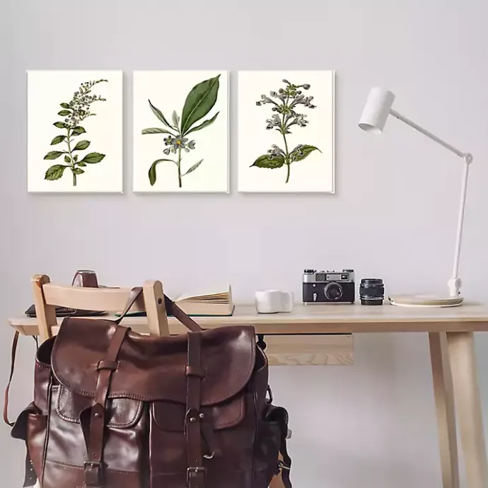 Hot Kirklands Home Minimal Soft Flowers Framed Art Prints, Set of 3