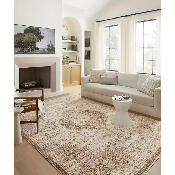 Best Kirklands Home Mocha and Cream Sorrento Area Rug, 7x10