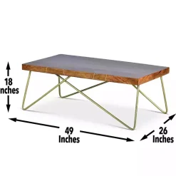 Kirklands Home Modern Mango Wood Brass Coffee Table Brown