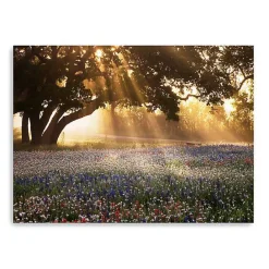 Best Kirklands Home Morning Meadow Giclee Canvas Art Print, 48x36 in. Yellow