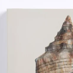New Kirklands Home Neutral Seashells Canvas Art Prints, Set of 3