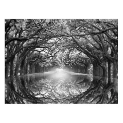 Hot Kirklands Home Oak Alley Reflection Giclee Canvas Art Print
