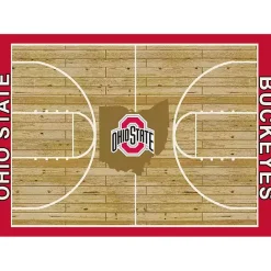 Discount Kirklands Home Ohio State Courtside Area Rug, 4x6