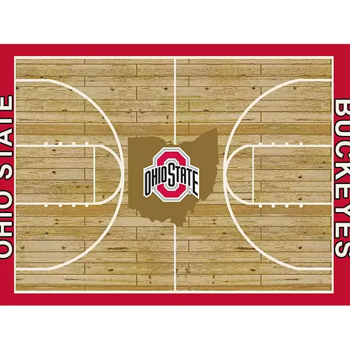Discount Kirklands Home Ohio State Courtside Area Rug, 4x6