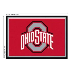 Kirklands Home Ohio State University Area Rug, 3x4