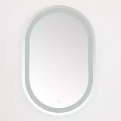 Kirklands Home Oval Crosby LED Wall Mirror