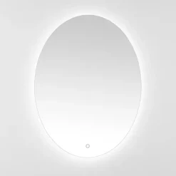 New Kirklands Home Oval Nolan LED Wall Mirror