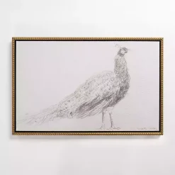 Outlet Kirklands Home Peacock Sketch Framed Canvas Art Print White