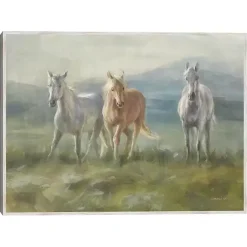 Outlet Kirklands Home Rangeland Horses Framed Canvas Art Print