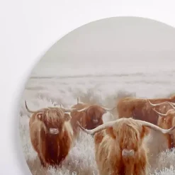 Kirklands Home Round Frosty Highland Cows Canvas Art Print