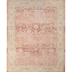 Online Kirklands Home Salmon Vintage Border Area Rug