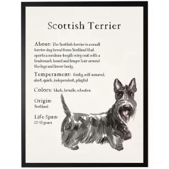 Discount Kirklands Home Scottish Terrier Facts Framed Wall Plaque