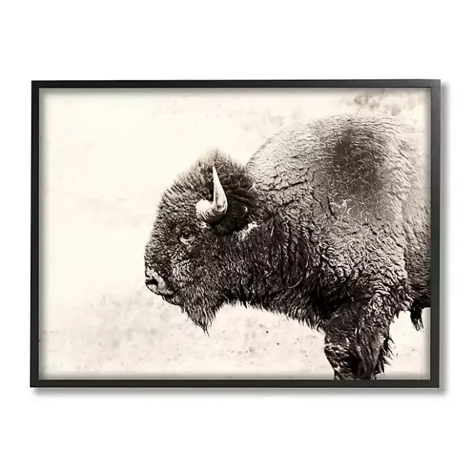 Best Kirklands Home Shaggy Buffalo Black Framed Canvas Art Print Brown