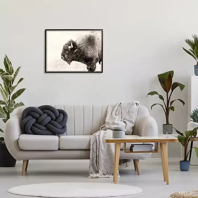 Best Kirklands Home Shaggy Buffalo Black Framed Canvas Art Print Brown