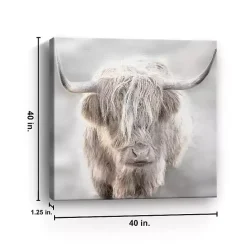 Best Kirklands Home Solo Highland Cow Canvas Art Print, 40x40 Gray