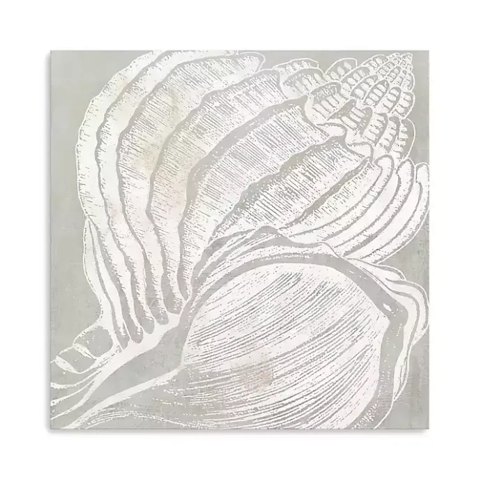 New Kirklands Home Spiral Seashell Close Up Canvas Art Print