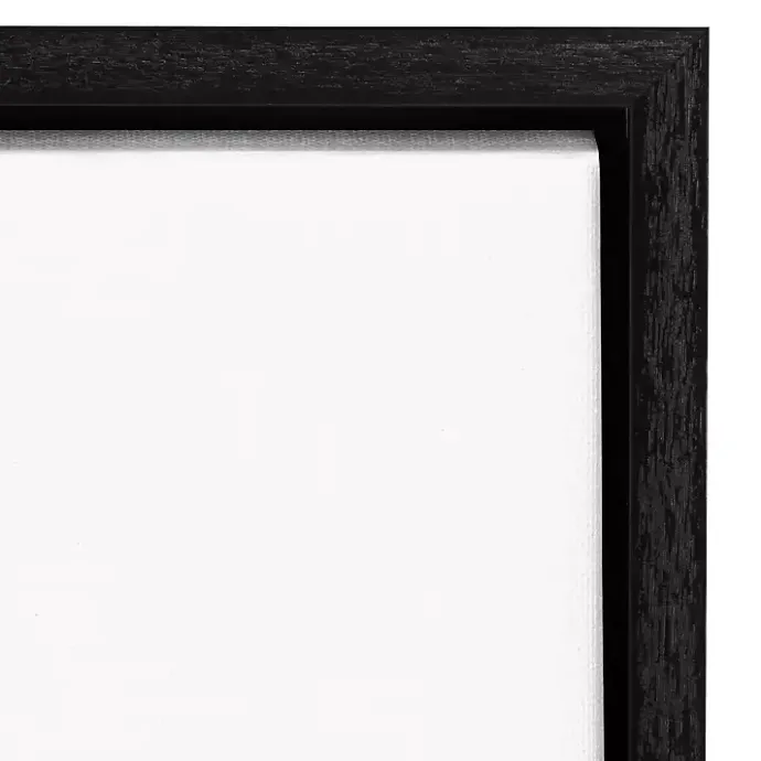 Kirklands Home Tan and Black Wash Laundry Framed Wall Plaque