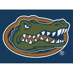 Outlet Kirklands Home University of Florida Area Rug, 4x6