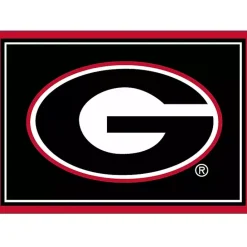 Clearance Kirklands Home University of Georgia Area Rug, 3x4