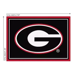 Clearance Kirklands Home University of Georgia Area Rug, 3x4