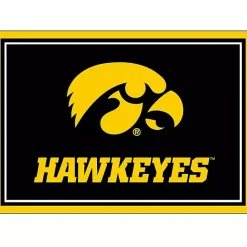Hot Kirklands Home University of Iowa Area Rug, 3x4