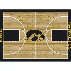Best Kirklands Home University of Iowa Courtside Area Rug, 4x6
