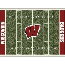 Kirklands Home University of Wisconsin Homefield Area Rug, 6x8