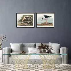 New Kirklands Home Vintage American Avocet Bookplate Framed Art Print