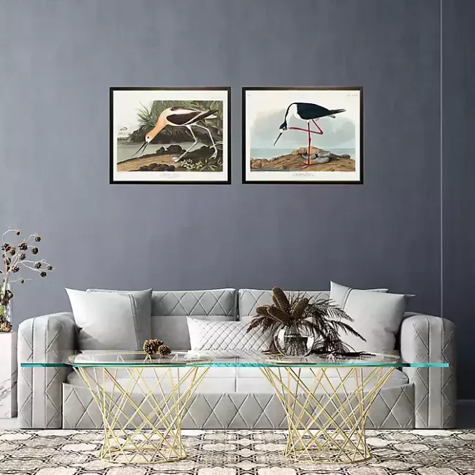 New Kirklands Home Vintage American Avocet Bookplate Framed Art Print
