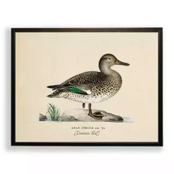 Outlet Kirklands Home Vintage Common Teal Duck Framed Art Print