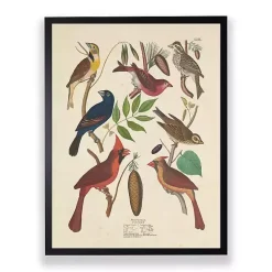 Kirklands Home Vintage Finch Birds Framed Art Print