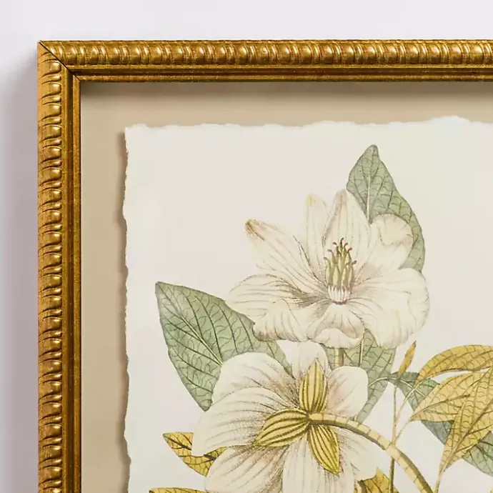 Kirklands Home Vintage Floral Gold Framed Art Print White
