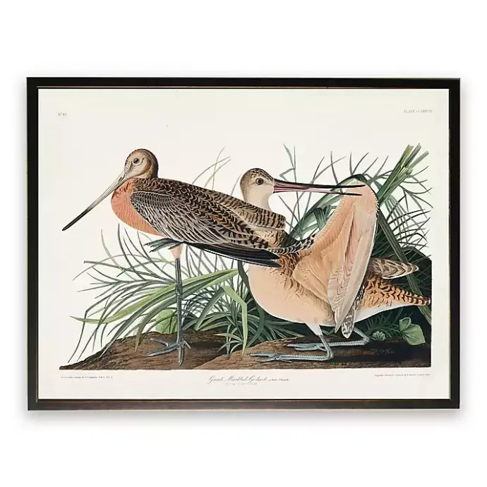 Online Kirklands Home Vintage Great Marbled Godwit Framed Art Print