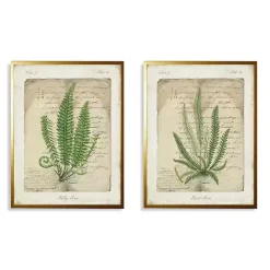 Online Kirklands Home Vintage Green Ferns Framed Art Prints, Set of 2