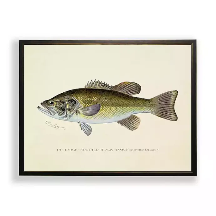 Online Kirklands Home Vintage Large Mouthed Bass Framed Art Print