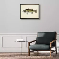Online Kirklands Home Vintage Large Mouthed Bass Framed Art Print