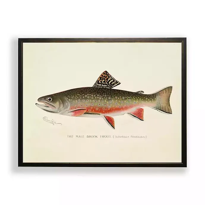 Online Kirklands Home Vintage Male Book Trout Framed Art Print