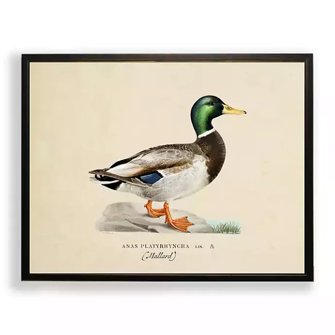 Hot Kirklands Home Vintage Male Mallard Duck Framed Art Print