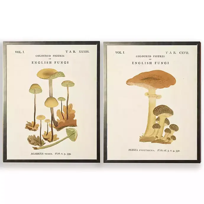 Discount Kirklands Home Vintage Mushrooms II Framed Art Prints, Set of 2